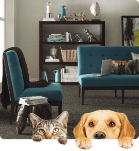 Image of pet resistant flooring with a dog and cat peeking through the image